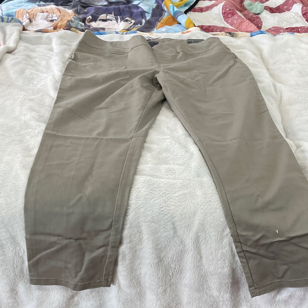 Van Heusen Women's Taupe Chinos